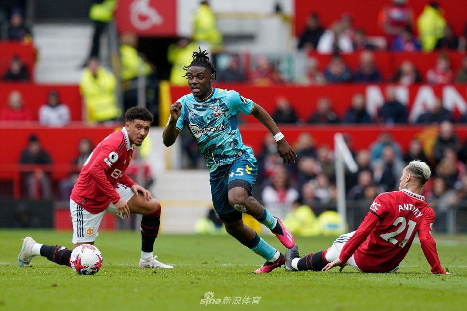 篮网的选择 篮网的选择